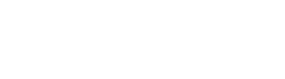 BG Motor