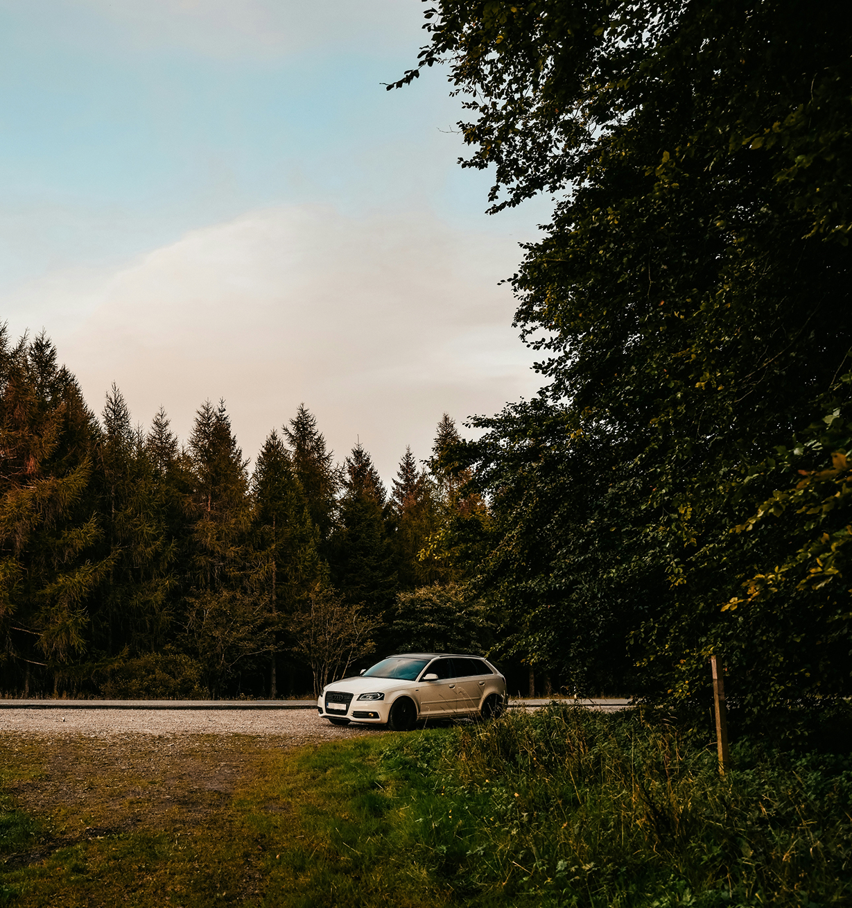 Budgivningar på Flippet